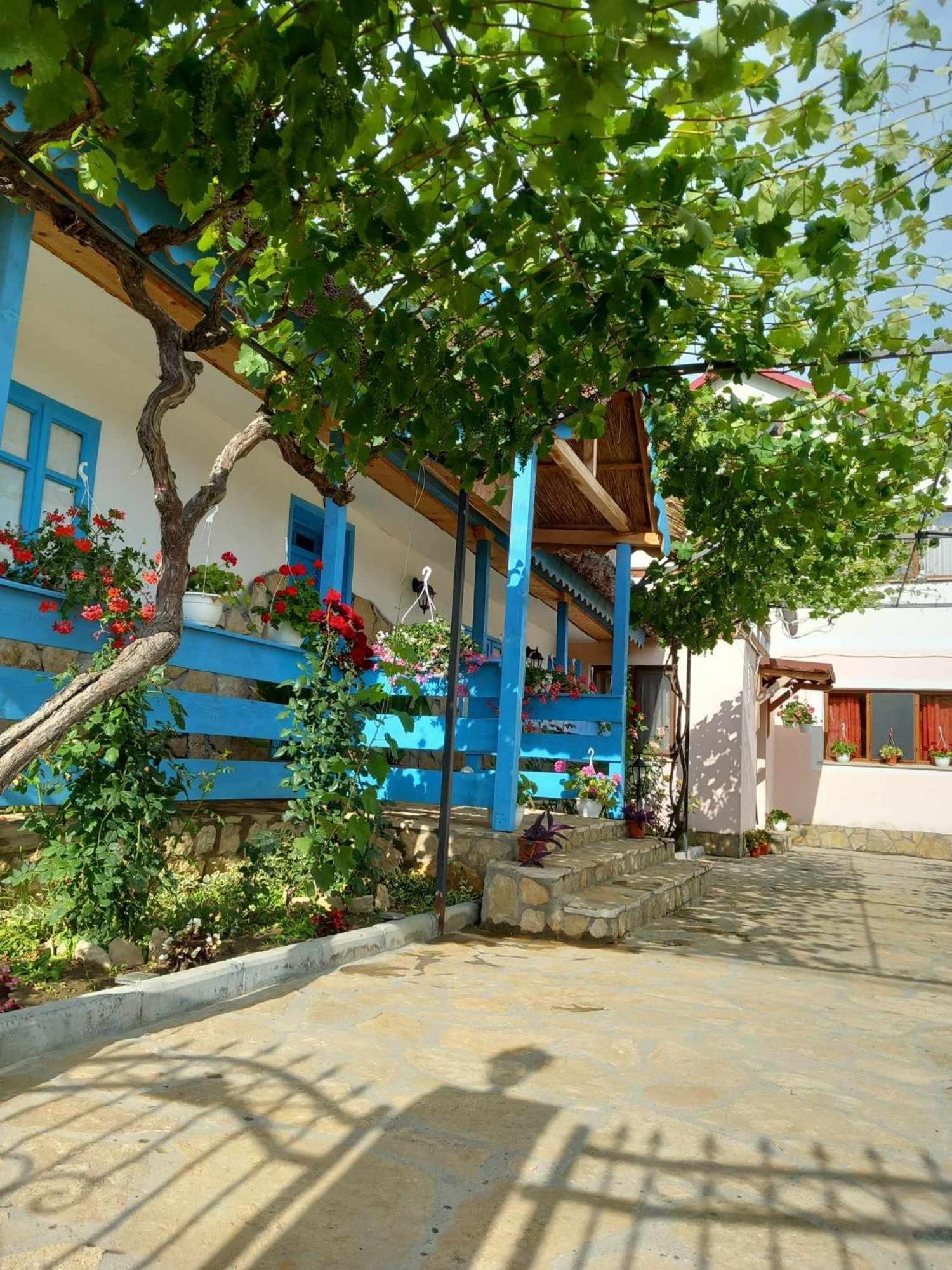 Hotel Casa Rasaritul Soarelui Sarichioi Esterno foto